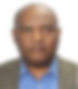 Bio Abebe Tadege
