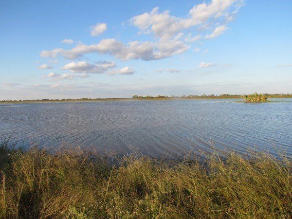 World Wetlands Day 2025: Protecting Wetlands for Our Common Future