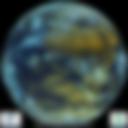 Colour Composite Satellite Image