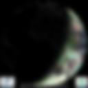 Day/Night Cloud Microphysics RGB