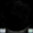 Day/Night Cloud Microphysics RGB