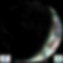 Day/Night Cloud Microphysics RGB