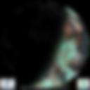 Day/Night Cloud Microphysics RGB