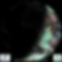 Day/Night Cloud Microphysics RGB