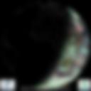 Day/Night Cloud Microphysics RGB