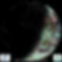 Day/Night Cloud Microphysics RGB