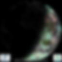 Day/Night Cloud Microphysics RGB