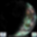 Day/Night Cloud Microphysics RGB
