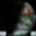 Day/Night Cloud Microphysics RGB