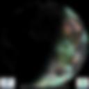 Day/Night Cloud Microphysics RGB