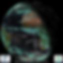 Day/Night Cloud Microphysics RGB