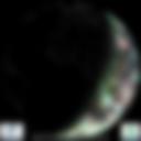 Day/Night Cloud Microphysics RGB