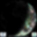 Day/Night Cloud Microphysics RGB