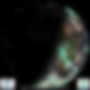 Day/Night Cloud Microphysics RGB