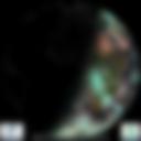 Day/Night Cloud Microphysics RGB