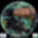 Day/Night Cloud Microphysics RGB