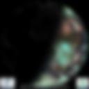 Day/Night Cloud Microphysics RGB