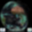 Day/Night Cloud Microphysics RGB