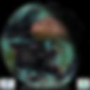 Day/Night Cloud Microphysics RGB
