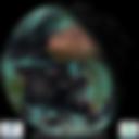 Day/Night Cloud Microphysics RGB