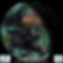 Day/Night Cloud Microphysics RGB
