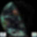 Day/Night Cloud Microphysics RGB