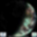 Day/Night Cloud Microphysics RGB