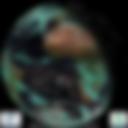 Day/Night Cloud Microphysics RGB