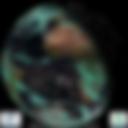 Day/Night Cloud Microphysics RGB
