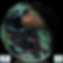Day/Night Cloud Microphysics RGB
