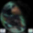 Day/Night Cloud Microphysics RGB