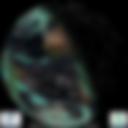 Day/Night Cloud Microphysics RGB