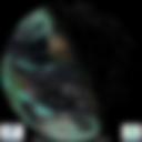 Day/Night Cloud Microphysics RGB