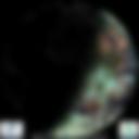 Day/Night Cloud Microphysics RGB
