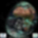 Day/Night Cloud Microphysics RGB