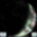 Day/Night Cloud Microphysics RGB