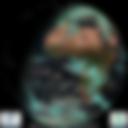 Day/Night Cloud Microphysics RGB