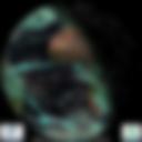 Day/Night Cloud Microphysics RGB