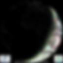 Day/Night Cloud Microphysics RGB