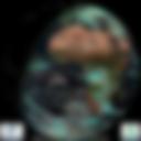 Day/Night Cloud Microphysics RGB