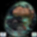 Day/Night Cloud Microphysics RGB