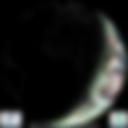 Day/Night Cloud Microphysics RGB