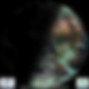 Day/Night Cloud Microphysics RGB
