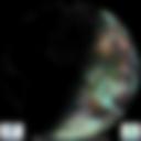 Day/Night Cloud Microphysics RGB