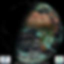 Day/Night Cloud Microphysics RGB