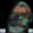 Day/Night Cloud Microphysics RGB