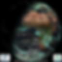 Day/Night Cloud Microphysics RGB