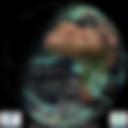 Day/Night Cloud Microphysics RGB