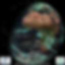 Day/Night Cloud Microphysics RGB