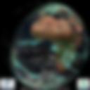 Day/Night Cloud Microphysics RGB